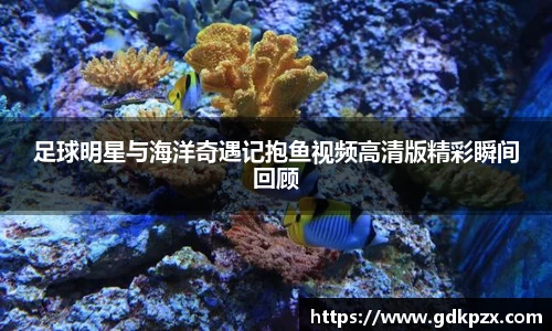 足球明星与海洋奇遇记抱鱼视频高清版精彩瞬间回顾